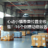 心动小镇香薰位置全收集！16个创意动物放置点详解（图3）