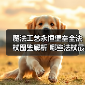 魔法工艺永恒堡垒全法杖图鉴解析 哪些法杖最实用？（图3）
