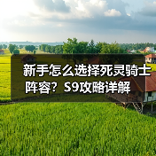 新手怎么选择死灵骑士阵容?S9攻略详解(图1) 新手怎么选择死灵骑士阵容?S9攻略详解(图1)