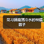 见习猎魔团冷水的祝福因子（图1）