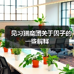 见习猎魔团关于因子的一些解释(图1) 见习猎魔团关于因子的一些解释(图1)