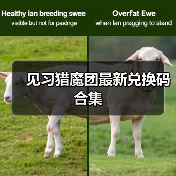 见习猎魔团最新兑换码合集（图2）