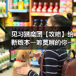 见习猎魔团【攻略】给新版本一筹莫展的你一点意见（图1）