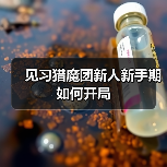 见习猎魔团新人新手期如何开局(图3) 见习猎魔团新人新手期如何开局(图3)