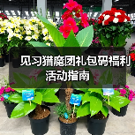 见习猎魔团礼包码福利活动指南（图1）