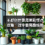王都创世录周常刷怪点攻略：效率最高路线推荐（图3）
