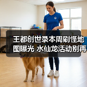 王都创世录本周刷怪地图曝光 水仙龙活动别再跑空（图3）