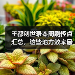 王都创世录本周刷怪点汇总，这些地方效率最高（图2）