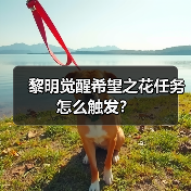 黎明觉醒希望之花任务怎么触发？（图1）