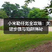 小米勒任务全攻略:关键步骤与陷阱揭秘(图1) 小米勒任务全攻略:关键步骤与陷阱揭秘(图1)