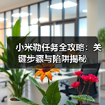 小米勒任务全攻略:关键步骤与陷阱揭秘(图3) 小米勒任务全攻略:关键步骤与陷阱揭秘(图3)