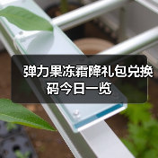 弹力果冻霜降礼包兑换码今日一览（图1）