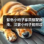 紫色小鸭子家具搭配指南,淡紫小鸭子拍照攻略全解析(图3) 紫色小鸭子家具搭配指南,淡紫小鸭子拍照攻略全解析(图3)