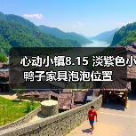 心动小镇8.15 淡紫色小鸭子家具泡泡位置（图3）