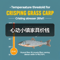 心动小镇家具价钱（图3）