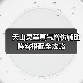 天山灵童真气增伤辅助阵容搭配全攻略（图1）