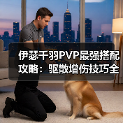 伊瑟千羽PVP最强搭配攻略:驱散增伤技巧全解析(图4) 伊瑟千羽PVP最强搭配攻略:驱散增伤技巧全解析(图4)