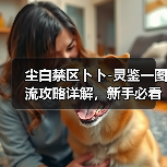 尘白禁区卜卜-灵鉴一图流攻略详解，新手必看！（图2）