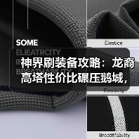 神界刷装备攻略:龙裔高塔性价比碾压鹅城,自选城主更优?(图3) 神界刷装备攻略:龙裔高塔性价比碾压鹅城,自选城主更优?(图3)