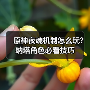 原神夜魂机制怎么玩?纳塔角色必看技巧(图2) 原神夜魂机制怎么玩?纳塔角色必看技巧(图2)