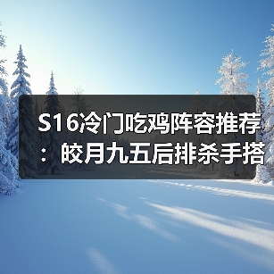 S16冷门吃鸡阵容推荐：皎月九五后排杀手搭配技巧（图1）