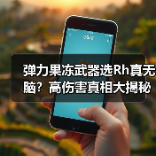 弹力果冻武器选Rh真无脑?高伤害真相大揭秘(图2) 弹力果冻武器选Rh真无脑?高伤害真相大揭秘(图2)
