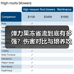 弹力果冻省流到底有多强?伤害对比与培养攻略(图2) 弹力果冻省流到底有多强?伤害对比与培养攻略(图2)
