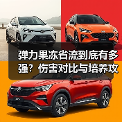 弹力果冻省流到底有多强?伤害对比与培养攻略(图1) 弹力果冻省流到底有多强?伤害对比与培养攻略(图1)