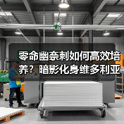 零命幽奈刺如何高效培养?暗影化身维多利亚装备技巧全解析(图1) 零命幽奈刺如何高效培养?暗影化身维多利亚装备技巧全解析(图1)