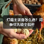 打魔王装备怎么选?词条优先级全解析(图4) 打魔王装备怎么选?词条优先级全解析(图4)