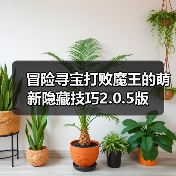 冒险寻宝打败魔王的萌新隐藏技巧2.0.5版(图2) 冒险寻宝打败魔王的萌新隐藏技巧2.0.5版(图2)