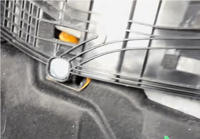 两只螃蟹藏身车内两年，一只只剩空壳另一只竟然还活着