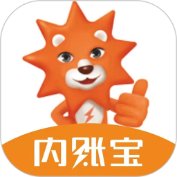 内账宝 3.9.4