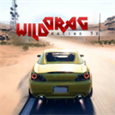 狂野飙车3D v1.01安卓版